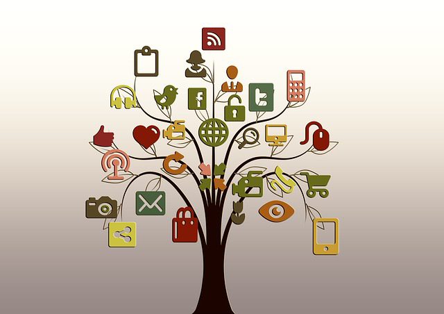 web tree/ senior safety